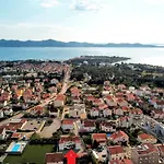 Micic