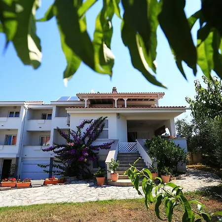 Micic * Zadar